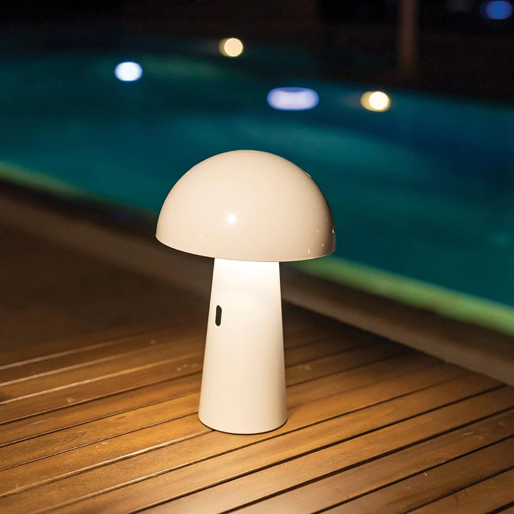 Shitake light